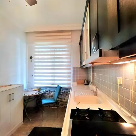 Attractive Flat In Muratpasa *